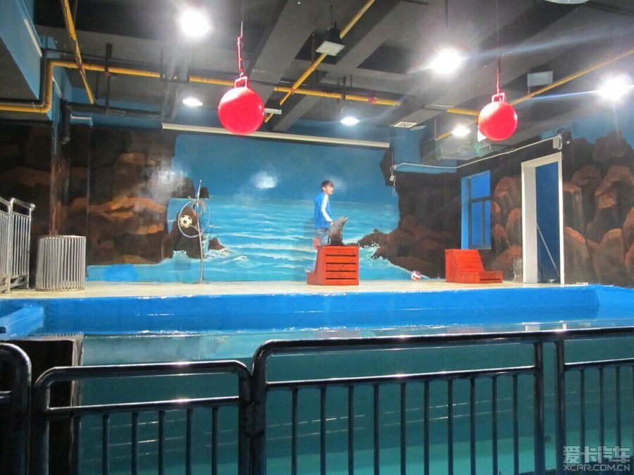 鄂州水族館vs祥龍魚場（湖北鄂州水族館是一個專注于龍魚養(yǎng)殖和出口的企業(yè)） 全國水族館企業(yè)名錄 第3張