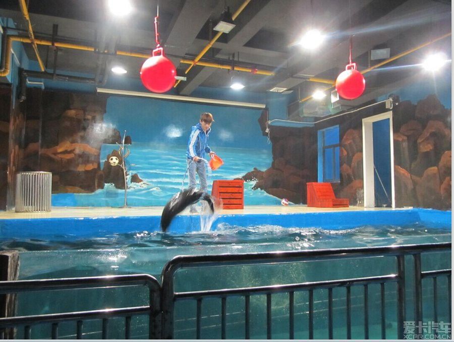 鄂州水族館vs祥龍魚場（湖北鄂州水族館是一個專注于龍魚養(yǎng)殖和出口的企業(yè)） 全國水族館企業(yè)名錄 第2張