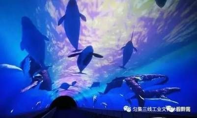 黔南布依族苗族自治州水族館vs祥龍魚場(chǎng)（貴州黔南布依族苗族自治州水族館祥龍魚場(chǎng)祥龍魚場(chǎng)） 全國水族館企業(yè)名錄 第5張