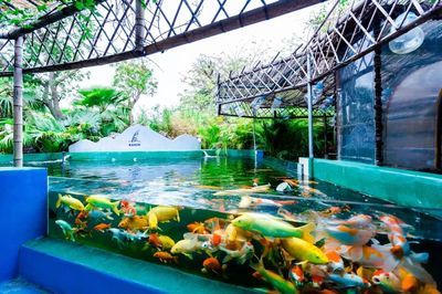 中山水族館vs祥龍魚場（中山水族館和祥龍魚場可能更專注于龍魚的養(yǎng)殖和銷售） 全國水族館企業(yè)名錄 第2張