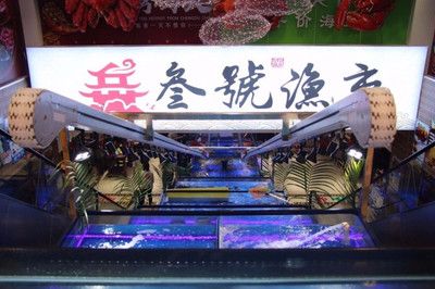 中山水族館vs祥龍魚場（中山水族館和祥龍魚場可能更專注于龍魚的養(yǎng)殖和銷售） 全國水族館企業(yè)名錄 第3張