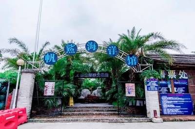 中山水族館vs祥龍魚場（中山水族館和祥龍魚場可能更專注于龍魚的養(yǎng)殖和銷售） 全國水族館企業(yè)名錄 第4張