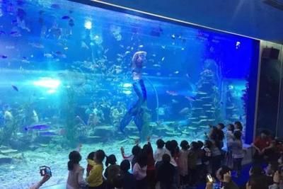 呼和浩特水族館vs祥龍魚場（呼和浩特水族館與祥龍魚場各有側(cè)重）