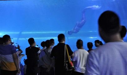 呼和浩特水族館vs祥龍魚場（呼和浩特水族館與祥龍魚場各有側(cè)重）