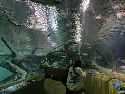 上海水族館vs祥龍魚場（上海水族館和祥龍魚場各有特色） 全國水族館企業(yè)名錄 第4張