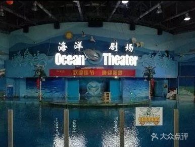 蘇州水族館vs祥龍魚場（探討蘇州水族館與祥龍魚場之間的差異之前，我們需要明確基本信息和特點） 全國水族館企業(yè)名錄 第5張