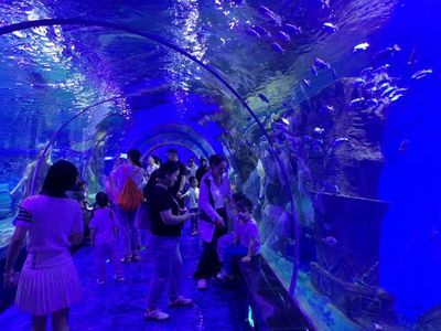 漯河水族館vs祥龍魚場（對比漯河水族館和祥龍魚場的相關(guān)信息） 全國水族館企業(yè)名錄 第4張