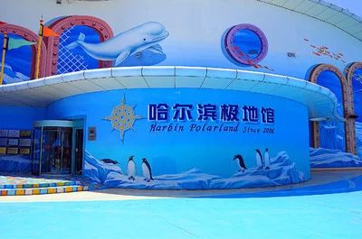 哈爾濱水族館vs祥龍魚場(chǎng)（哈爾濱水族館與祥龍魚場(chǎng)有什么區(qū)別？） 全國(guó)水族館企業(yè)名錄 第5張