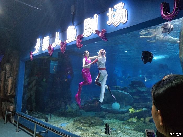 臨沂水族館vs祥龍魚場（臨沂水族館與祥龍魚場各有側(cè)重） 全國水族館企業(yè)名錄 第2張