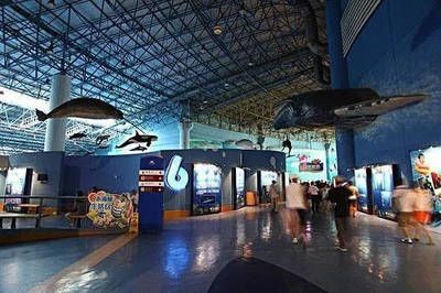 阿克蘇水族館vs祥龍魚場（中國新疆阿克蘇水族館阿克蘇水族館和祥龍魚場的選擇） 全國水族館企業(yè)名錄 第1張