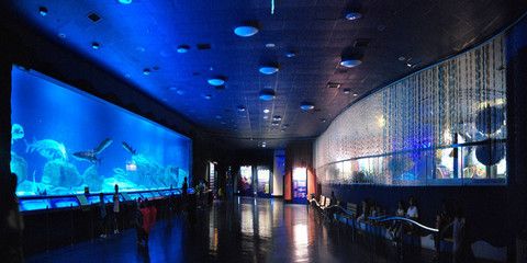 阿克蘇水族館vs祥龍魚場（中國新疆阿克蘇水族館阿克蘇水族館和祥龍魚場的選擇） 全國水族館企業(yè)名錄 第4張