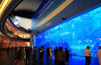 阿克蘇水族館vs祥龍魚場（中國新疆阿克蘇水族館阿克蘇水族館和祥龍魚場的選擇） 全國水族館企業(yè)名錄 第5張