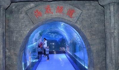 安陽(yáng)水族館vs祥龍魚場(chǎng)（安陽(yáng)水族館和祥龍魚場(chǎng)哪個(gè)好） 全國(guó)水族館企業(yè)名錄 第3張