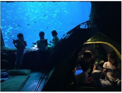 臺灣水族館vs祥龍魚場（臺灣水族館與祥龍魚場之間的差異之前，我們需要明確的搜索結(jié)果） 全國水族館企業(yè)名錄 第3張