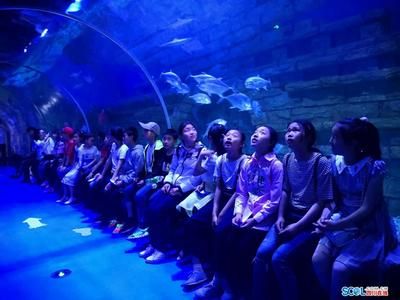 巴中水族館vs祥龍魚場（巴中水族館與祥龍魚場的具體差異） 全國水族館企業(yè)名錄 第1張