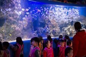 信陽(yáng)水族館vs祥龍魚場(chǎng)（信陽(yáng)水族館與祥龍魚場(chǎng)之間的差異之前，我們需要明確兩者的主要業(yè)務(wù)和服務(wù)對(duì)象） 全國(guó)水族館企業(yè)名錄 第1張