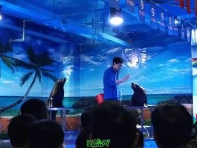 信陽(yáng)水族館vs祥龍魚場(chǎng)（信陽(yáng)水族館與祥龍魚場(chǎng)之間的差異之前，我們需要明確兩者的主要業(yè)務(wù)和服務(wù)對(duì)象） 全國(guó)水族館企業(yè)名錄 第3張