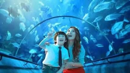 張家界水族館vs祥龍魚場（張家界水族館與祥龍魚場的區(qū)別） 全國水族館企業(yè)名錄 第2張