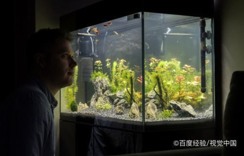 魚缸里的水渾濁怎么辦加什么變清澈（魚缸里的水渾濁怎么辦） 魚缸百科 第4張