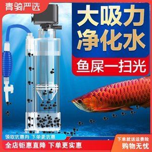 魚缸過濾器怎么增氧（魚缸過濾器怎么增氧魚缸過濾器增氧的方法主要有以下幾種） 魚缸百科 第1張