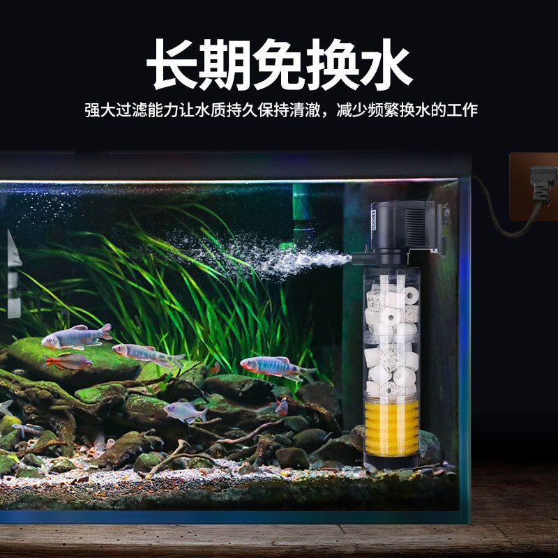 魚缸過濾器怎么增氧（魚缸過濾器怎么增氧魚缸過濾器增氧的方法主要有以下幾種） 魚缸百科 第4張