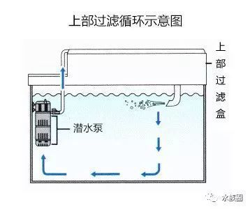 安裝魚缸過濾器的視頻（如何安裝魚缸過濾器）