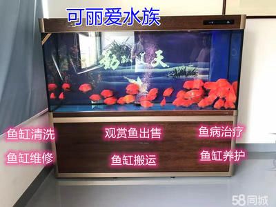 可麗愛魚缸售后維修電話號碼（可麗愛魚缸售后電話） 魚缸百科 第4張