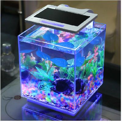 森森魚缸客服電話（森森魚缸客服電話0510-86519666） 魚缸百科 第5張