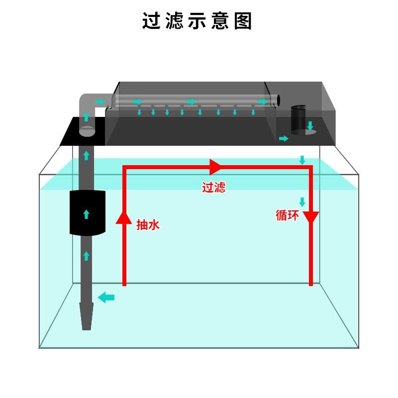 魚(yú)缸過(guò)濾器增氧原理（魚(yú)缸過(guò)濾器可以通過(guò)多種方式實(shí)現(xiàn)增氧功能，以下是常見(jiàn)的增氧原理） 魚(yú)缸百科 第3張