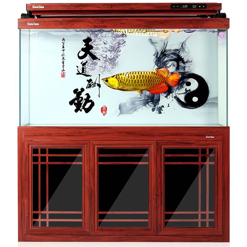 龍魚缸排行（2018龍魚缸品牌排行榜） 魚缸百科 第5張