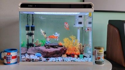 森森魚缸客服熱線24小時(shí)（森森魚缸售后服務(wù)） 魚缸百科 第1張