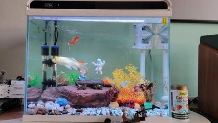 森森魚缸客服熱線24小時(shí)（森森魚缸售后服務(wù)） 魚缸百科 第5張