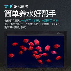 魚(yú)缸養(yǎng)魚(yú)文案（魚(yú)缸養(yǎng)魚(yú)） 魚(yú)缸百科 第1張