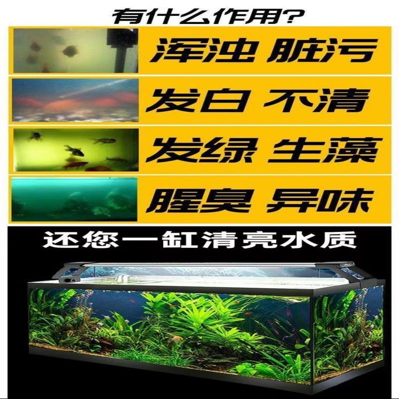 魚(yú)缸養(yǎng)魚(yú)文案（魚(yú)缸養(yǎng)魚(yú)） 魚(yú)缸百科 第3張