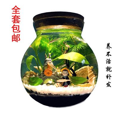 魚缸可不可以不換水（魚缸可不可以不換水取決于多種因素，取決于多種因素） 魚缸百科 第1張