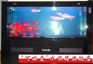 可麗愛魚缸官網(wǎng)旗艦店（可麗愛魚缸官網(wǎng)旗艦店提供多樣化產(chǎn)品選擇和優(yōu)質(zhì)服務(wù)） 魚缸百科 第2張