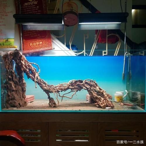 水草魚缸造景圖片大全（水草魚缸造景圖片大全,） 魚缸百科 第4張