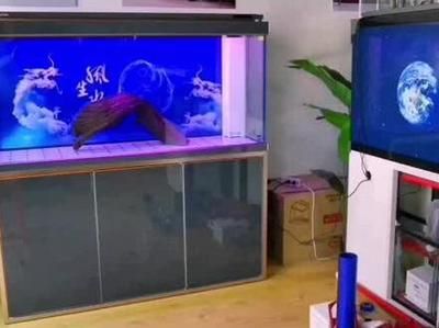 森森魚缸各型號及價格（森森魚缸各型號及價格，森森魚缸各型號及價格及其價格）