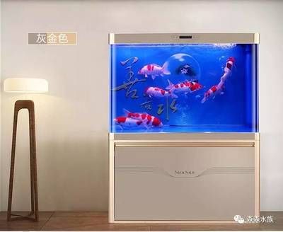 森森魚缸各型號及價格（森森魚缸各型號及價格，森森魚缸各型號及價格及其價格）