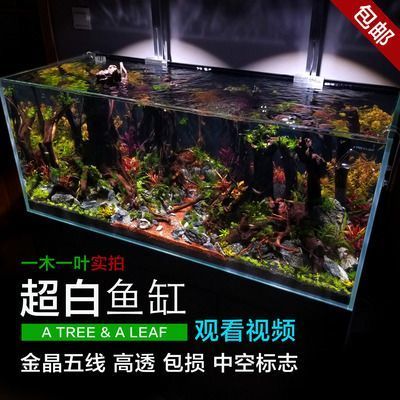 龍魚(yú)缸品牌十大排名榜（2024年龍魚(yú)缸品牌十大排名榜）