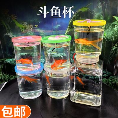 水草魚缸造景圖片大全大型 魚缸百科 第1張