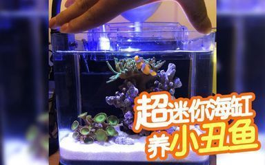 2019新款彩蝶魚缸講解視頻下載