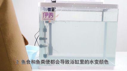 魚缸水發(fā)渾發(fā)白怎么處理 魚缸百科 第3張