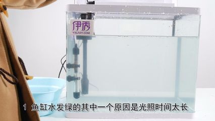 魚缸水發(fā)渾發(fā)白怎么處理 魚缸百科 第2張