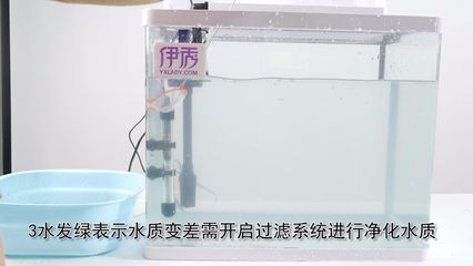 魚缸水發(fā)渾發(fā)白怎么處理 魚缸百科 第1張