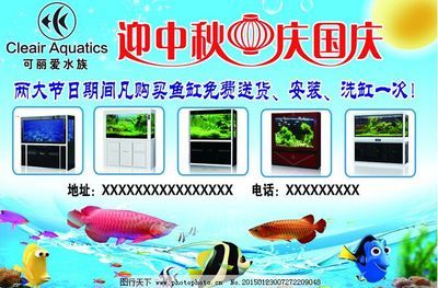 可麗愛魚缸怎么安裝視頻（可麗愛魚缸安裝步驟） 魚缸百科 第2張