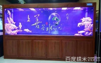 魚缸圖片大全圖100元左右（100元左右的魚缸圖片大全圖100元左右的魚缸圖片大全） 魚缸百科 第2張