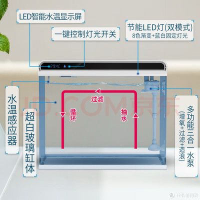 森森魚缸顯示屏怎么換（森森魚缸顯示屏怎么換,） 魚缸百科 第4張