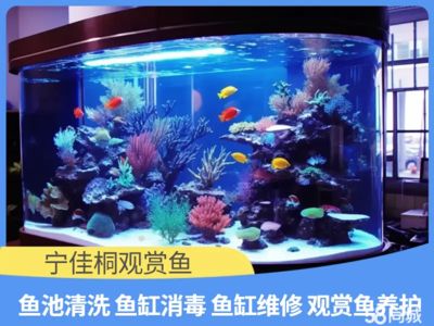 魚缸修復電話（養(yǎng)魚過程中魚缸的維護非常重要但有時會出現(xiàn)漏水、過濾器故障等問題）