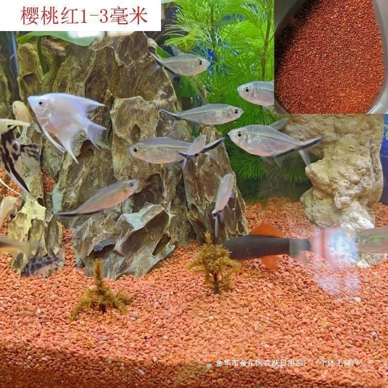 熱帶魚魚缸造景圖片大全不用底砂可以嗎（熱帶魚缸造景圖片大全不用底砂可以嗎） 魚缸百科 第2張